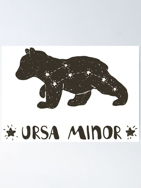 40K Ursa Minor 2/11/2023